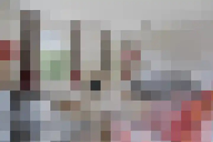 Buinerweg 8 285 Ees thumbnail 13