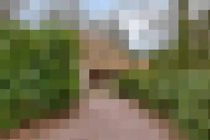 Buinerweg 8 285 Ees thumbnail 4