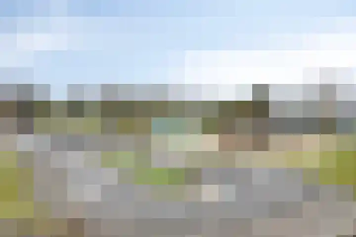 Buinerweg 8 285 Ees thumbnail 47