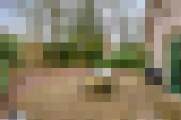 Buinerweg 8 285 Ees thumbnail 7