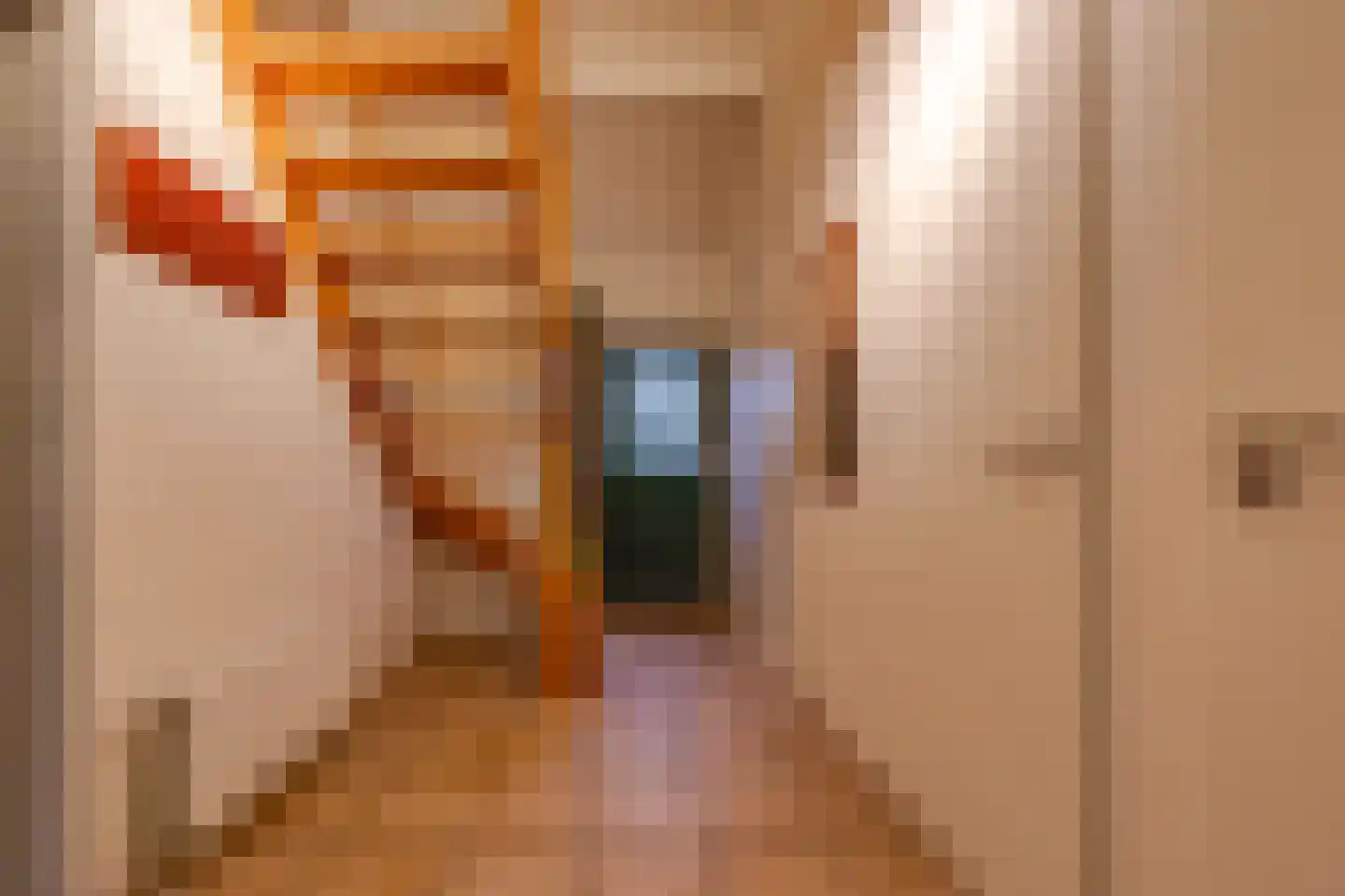 Buinerweg 8 287 Ees thumbnail 15