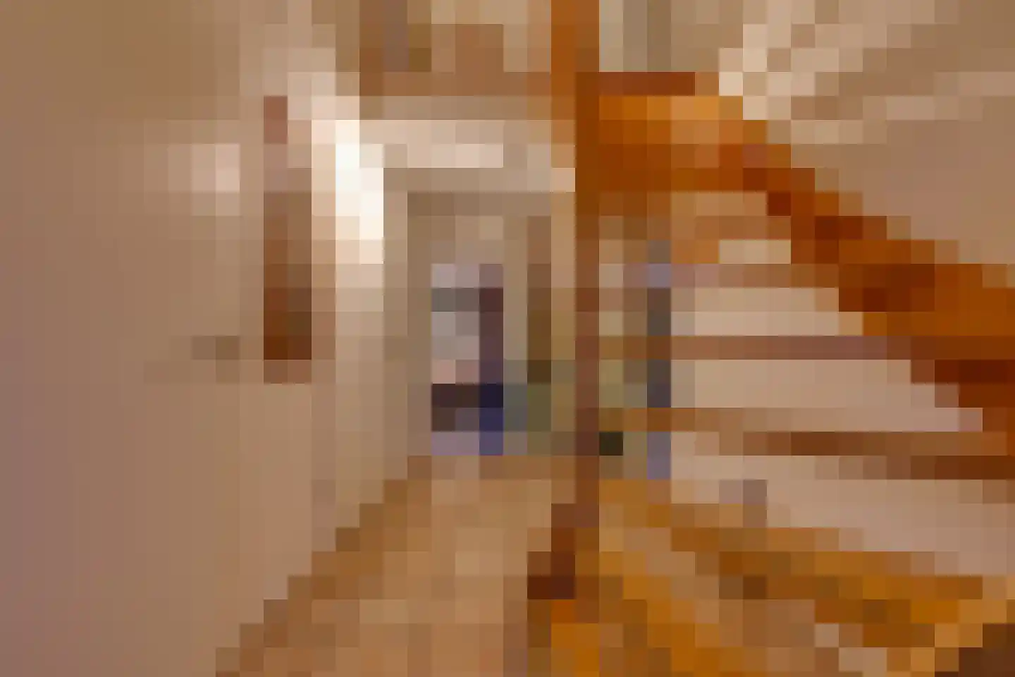 Buinerweg 8 287 Ees thumbnail 18