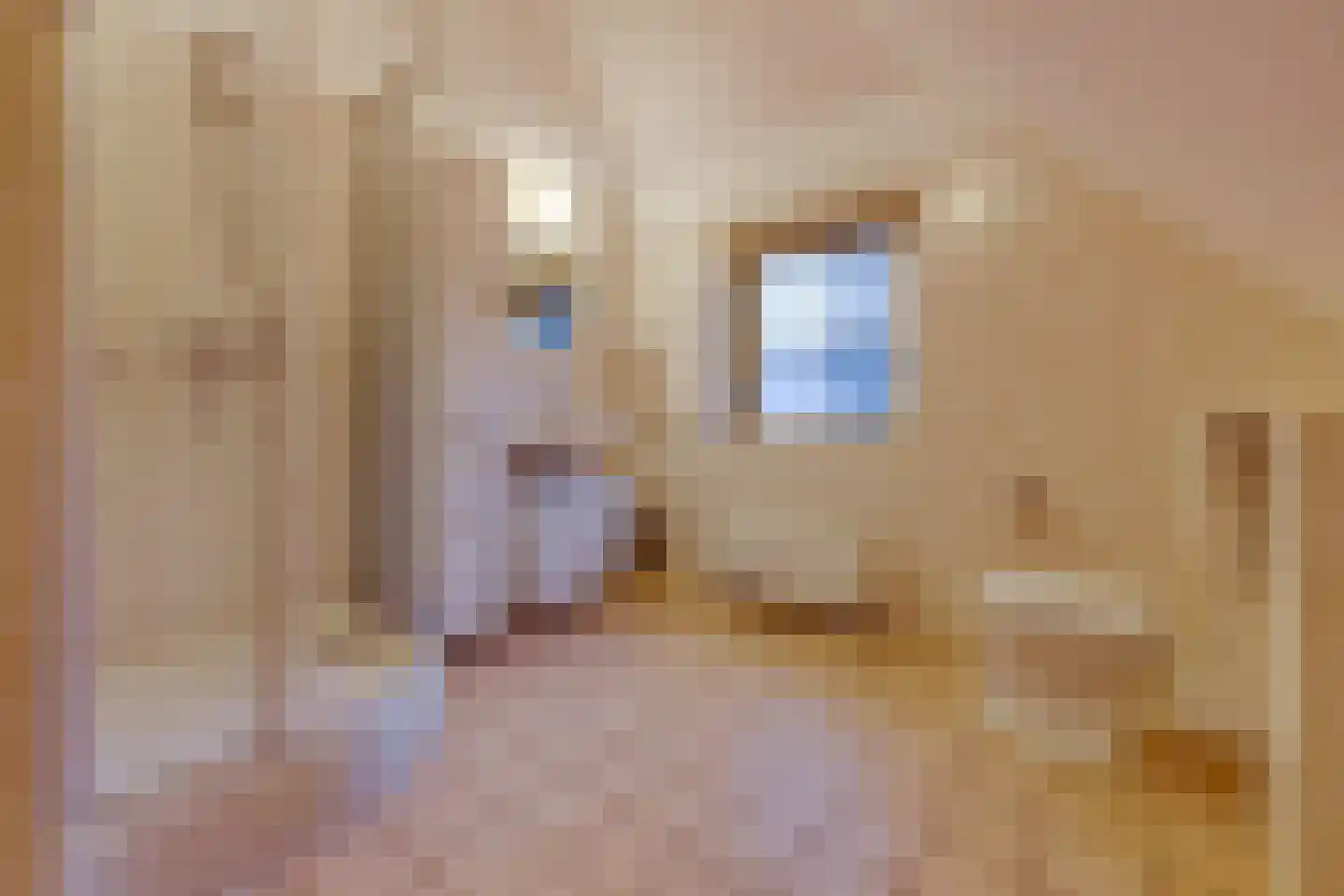 Buinerweg 8 287 Ees thumbnail 29