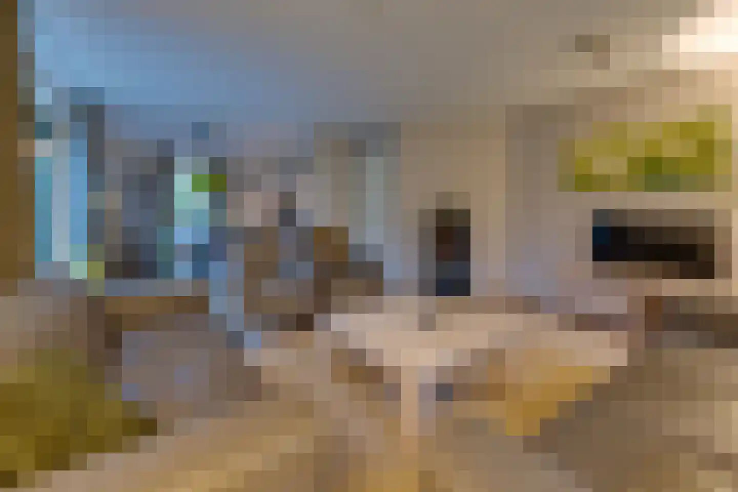 Buinerweg 8 287 Ees thumbnail 5