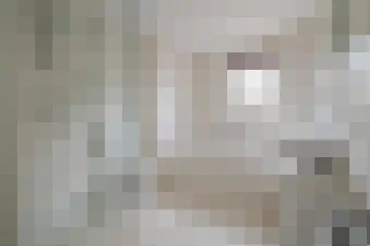 Buinerweg 8 425 Ees thumbnail 11
