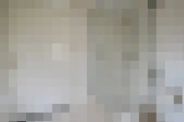 Buinerweg 8 425 Ees thumbnail 13