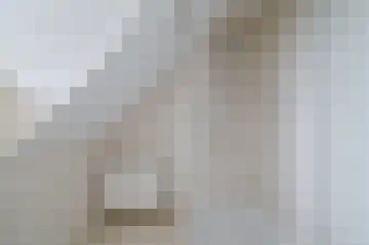 Buinerweg 8 425 Ees thumbnail 21