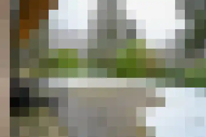 Buinerweg 8 425 Ees thumbnail 26