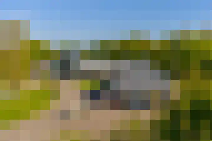 Buinerweg 8 425 Ees thumbnail 33