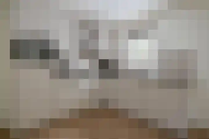 Buinerweg 8 425 Ees thumbnail 8
