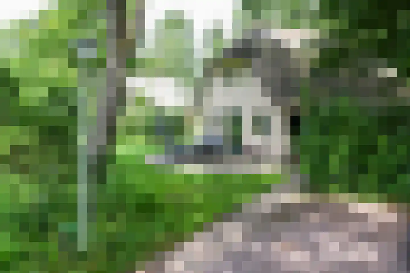 Buinerweg 8 447 Ees thumbnail 30