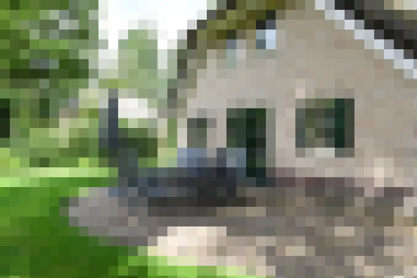 Buinerweg 8 447 Ees thumbnail 31