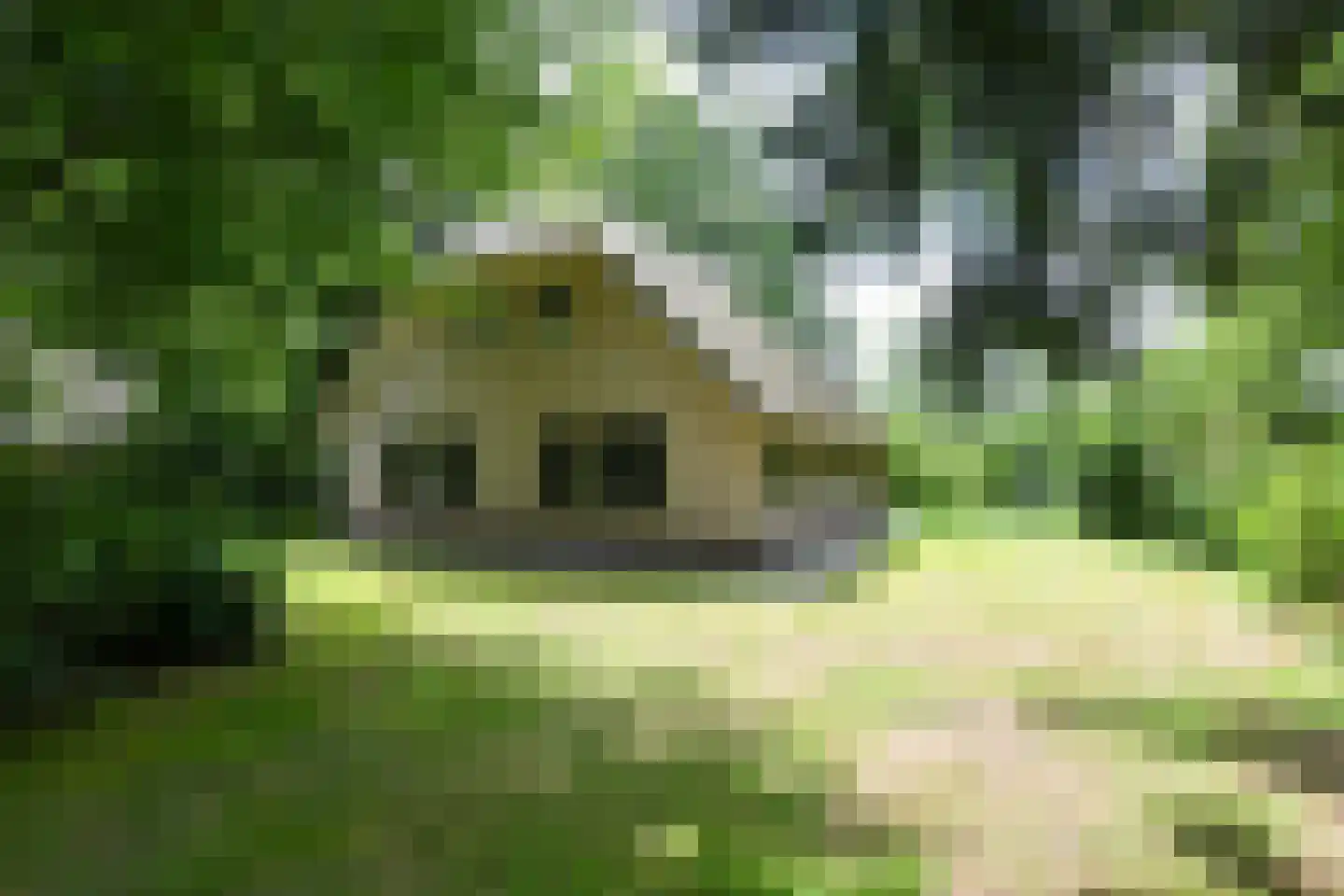 Buinerweg 8 447 Ees thumbnail 32