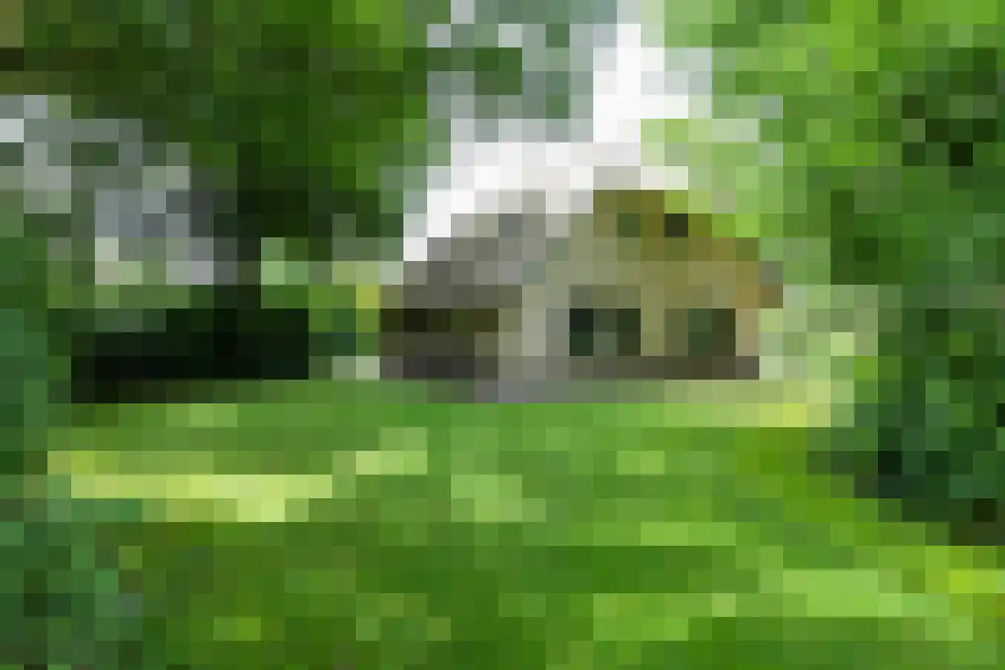 Buinerweg 8 447 Ees thumbnail 33