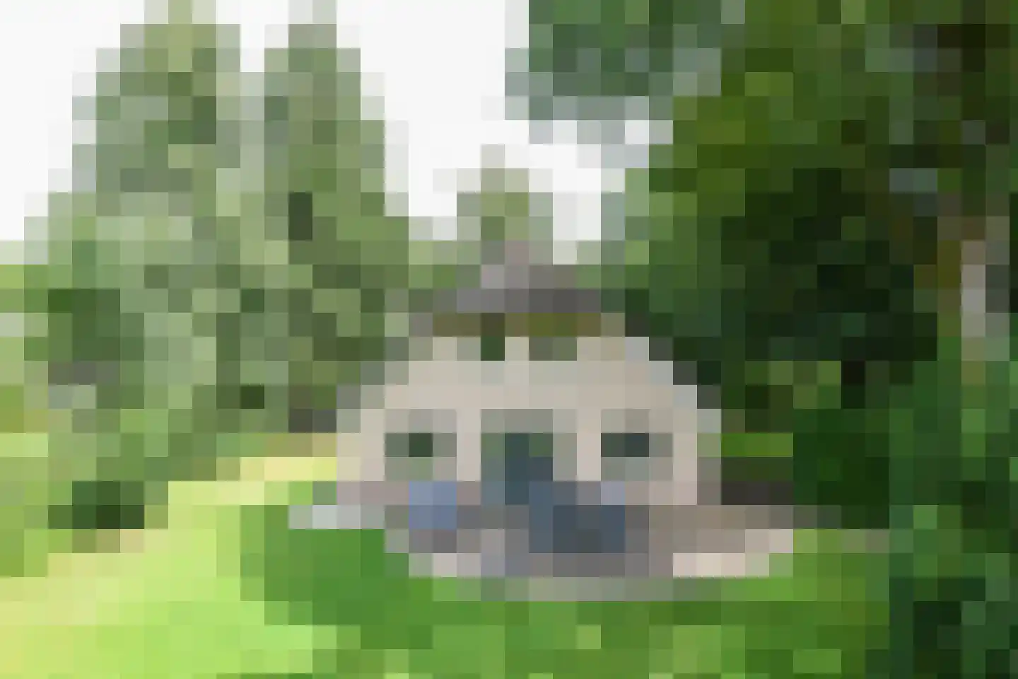 Buinerweg 8 447 Ees thumbnail 36
