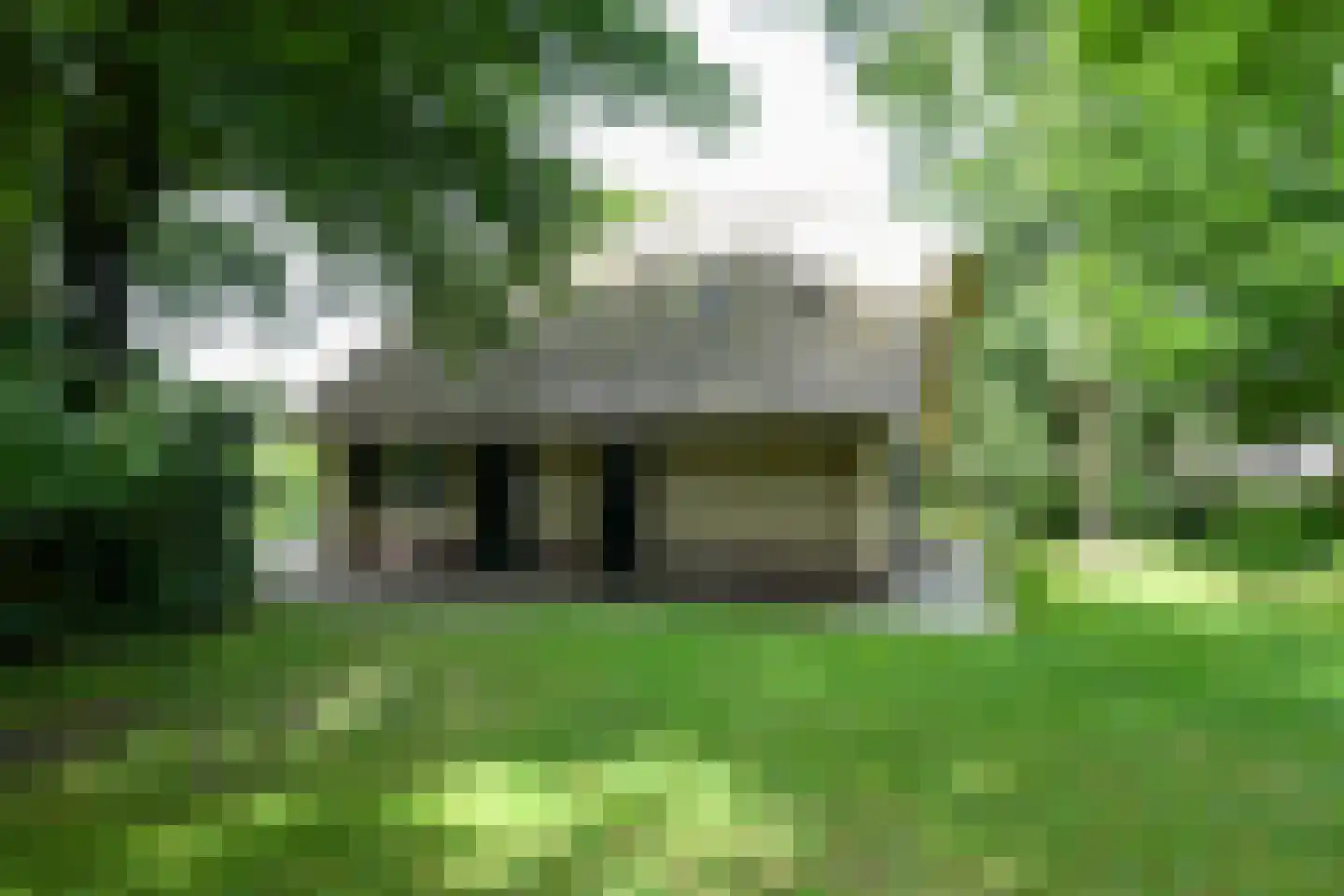 Buinerweg 8 447 Ees thumbnail 37