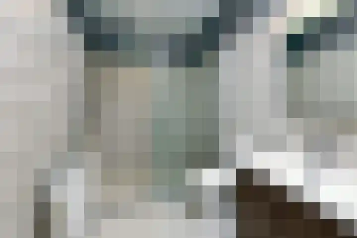 Buis 133 Maassluis thumbnail 18
