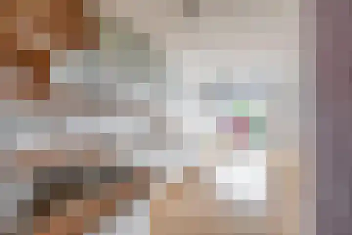 Buis 133 Maassluis thumbnail 19