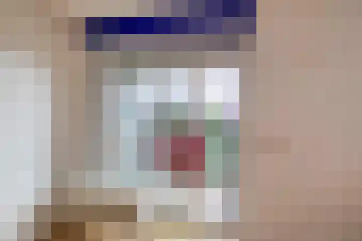 Buis 133 Maassluis thumbnail 26