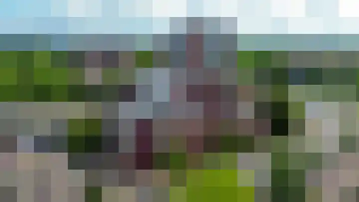 Buis 133 Maassluis thumbnail 34