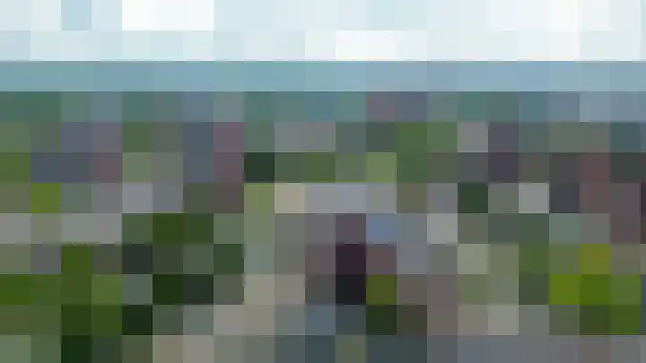 Buis 133 Maassluis thumbnail 36