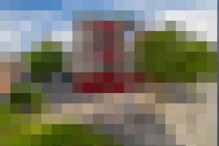 Buis 133 Maassluis thumbnail 39