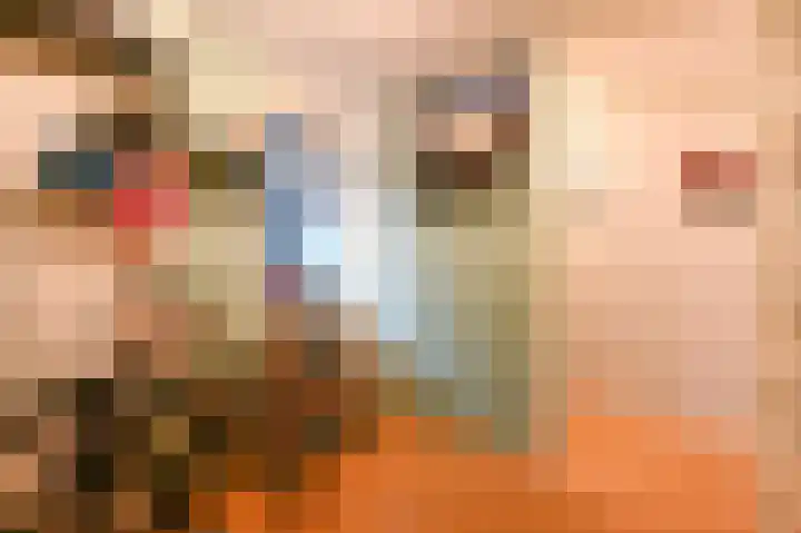Buis 89 Maassluis thumbnail 24