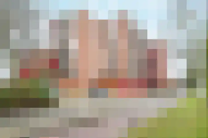 Buis 89 Maassluis thumbnail 27