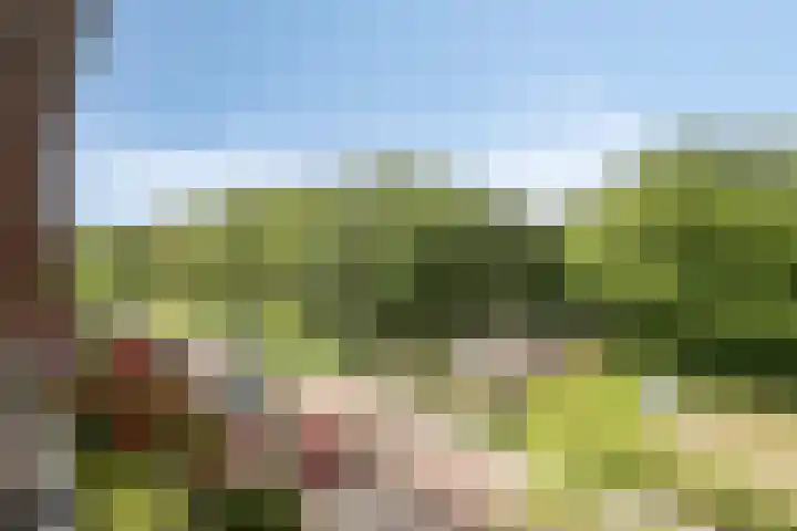 Buisweg 96 Hilversum thumbnail 8