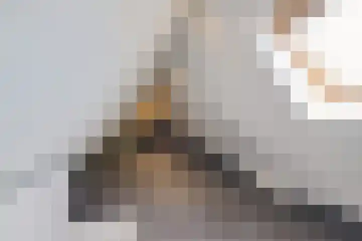 Buitenbaardt 23 Lemmer thumbnail 31
