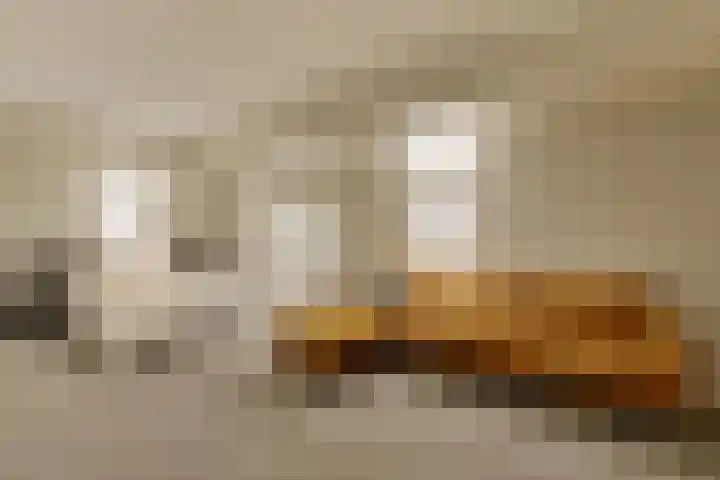 Buitenbaardt 23 Lemmer thumbnail 33