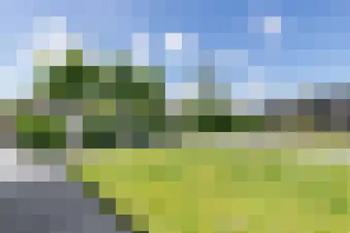 Buitenbaardt 23 Lemmer thumbnail 49