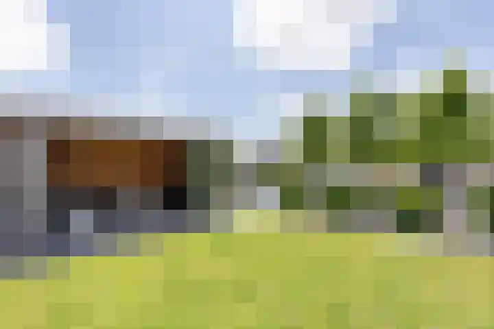 Buitenbaardt 23 Lemmer thumbnail 50