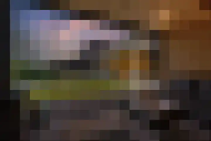 Buitenbaardt 23 Lemmer thumbnail 53