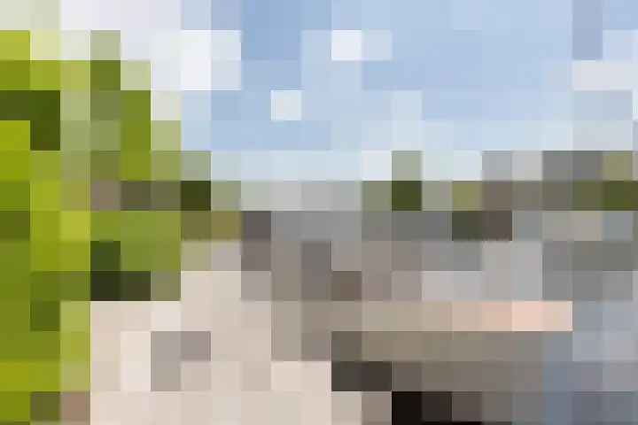 Buitenbaardt 23 Lemmer thumbnail 58