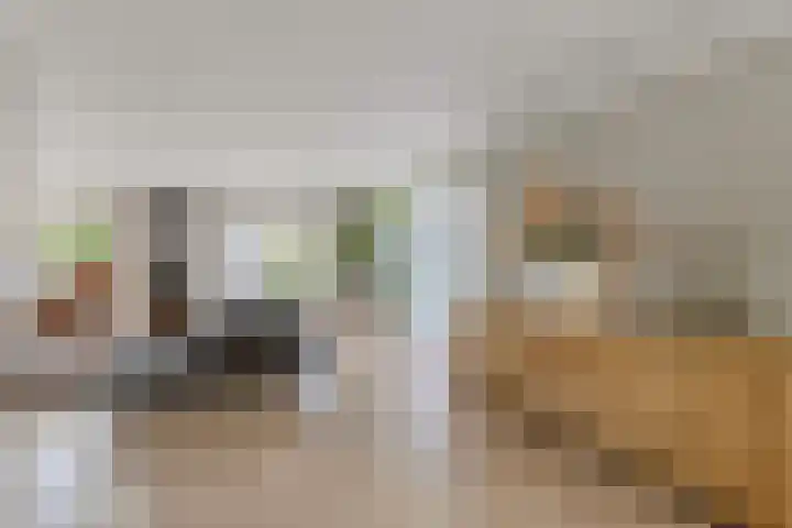 Buitenbaardt 23 Lemmer thumbnail 6