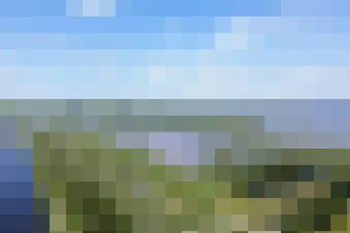 Buitenbaardt 23 Lemmer thumbnail 68