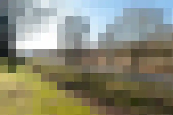 Buitenbree 8 Assen thumbnail 50