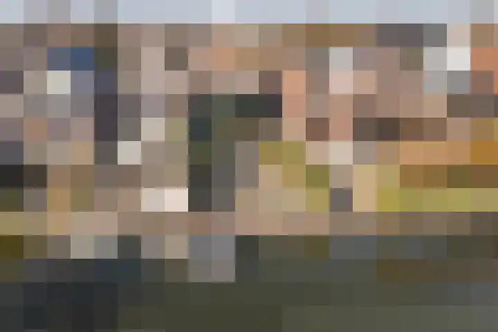 Buitendams 131 Hardinxveld-Giessendam thumbnail 4