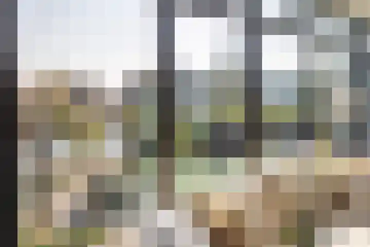 Buitendams 131 Hardinxveld-Giessendam thumbnail 7