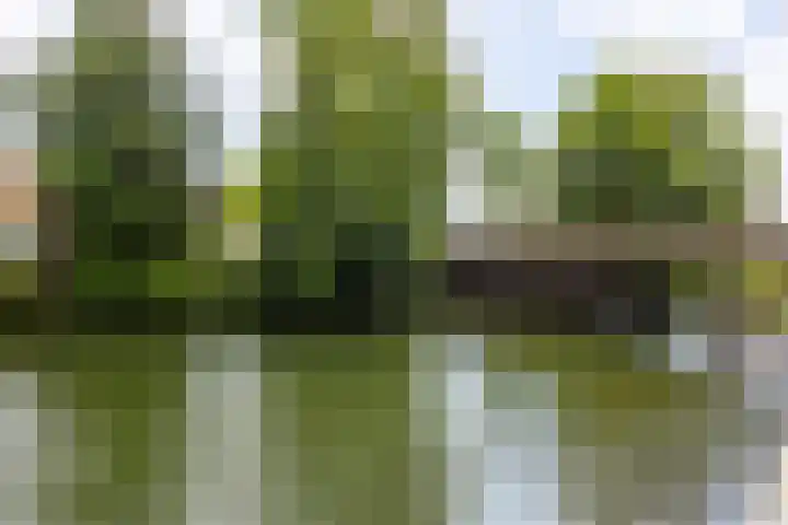 Buitendams 65 Hardinxveld-Giessendam thumbnail 22