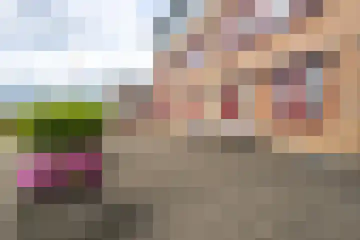 Buitendams 65 Hardinxveld-Giessendam thumbnail 31