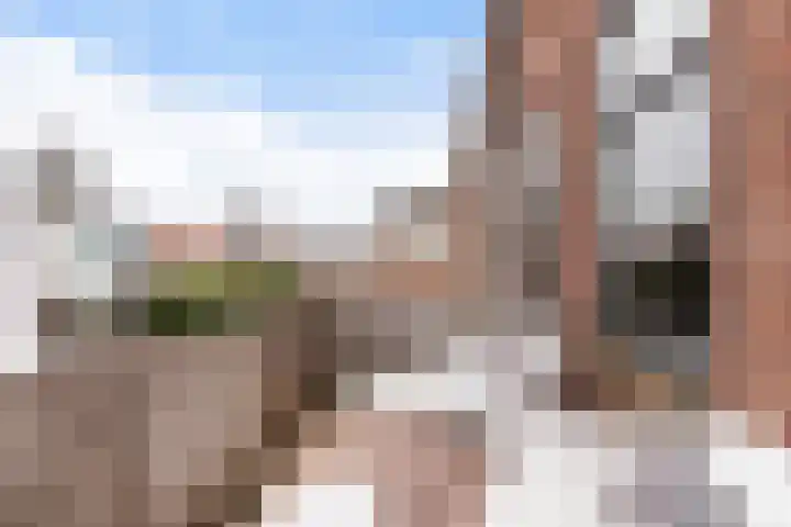 Buitendams 95 Hardinxveld-Giessendam thumbnail 9
