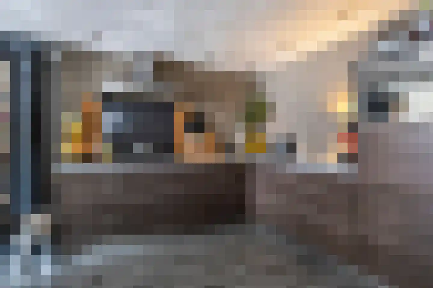 Buitendijk 102 Hank thumbnail 10