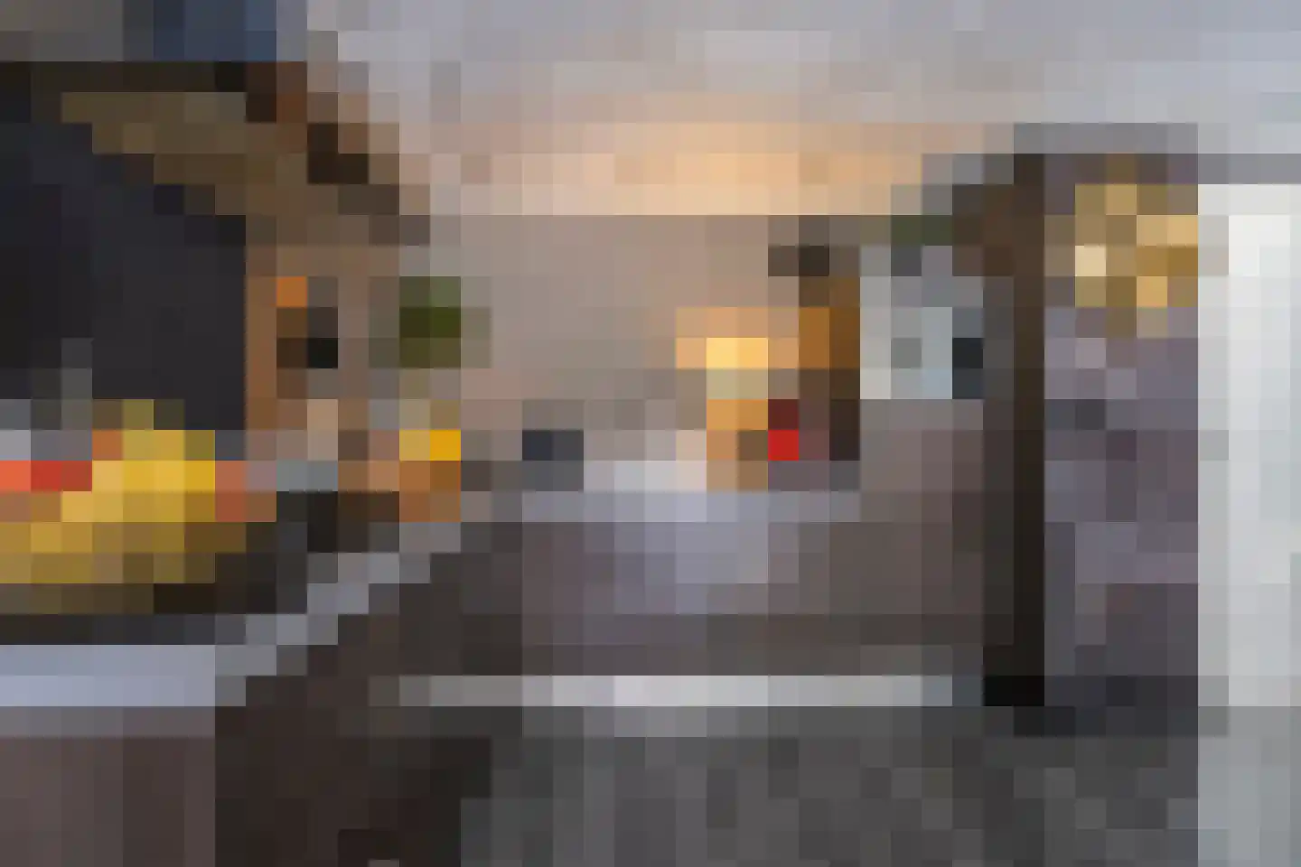 Buitendijk 102 Hank thumbnail 12