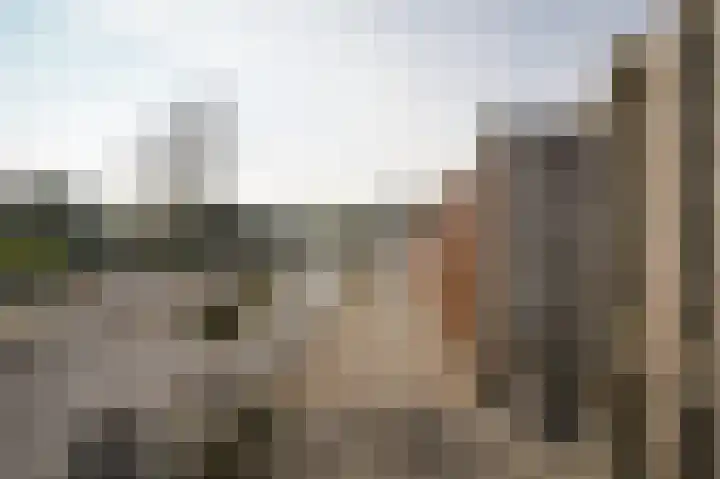 Buitendijk 117 Hank thumbnail 25