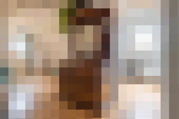 Buitendijk 117 Hank thumbnail 5