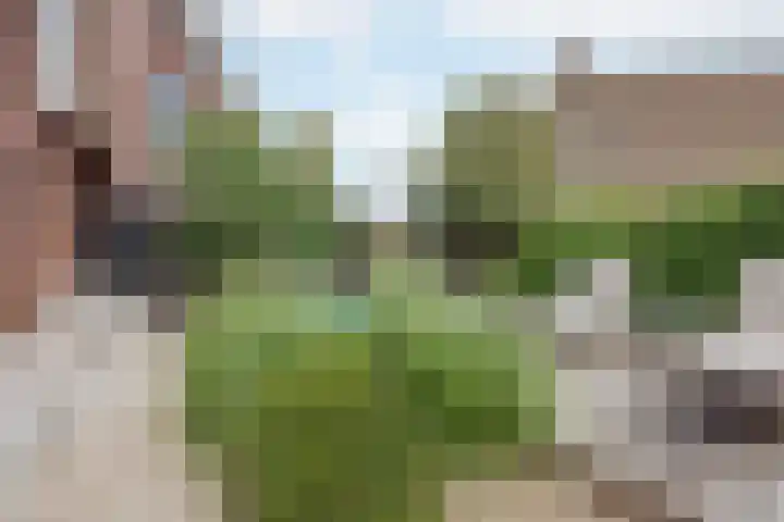 Buitendijk 122 Hank thumbnail 13