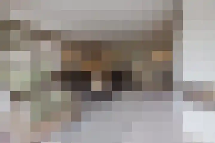 Buitendijk 122 Hank thumbnail 28