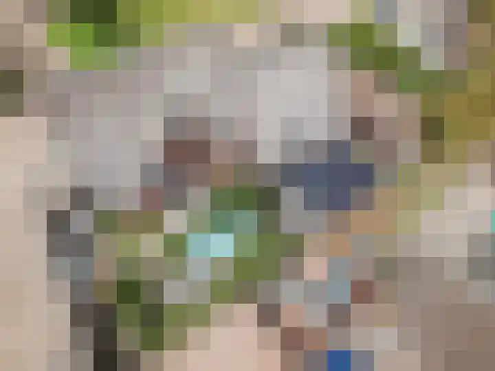 Buitendijk 122 Hank thumbnail 6